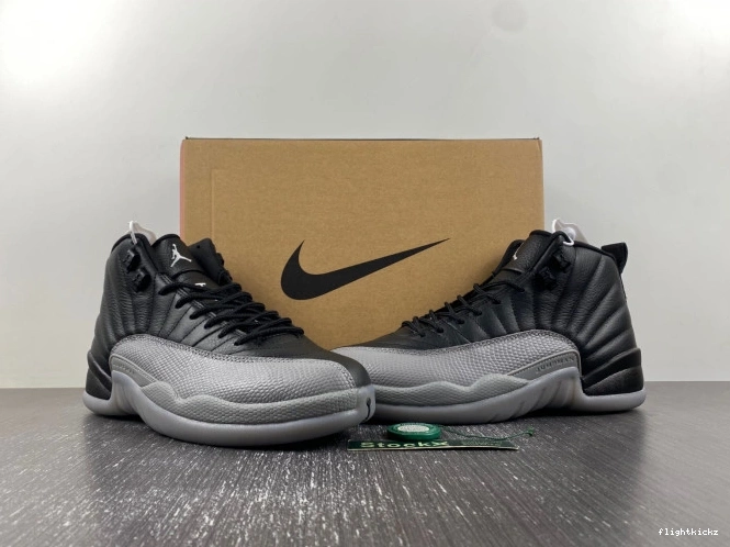 Grey 12 Black Air Wolf CT8013-019 Jordan 1123